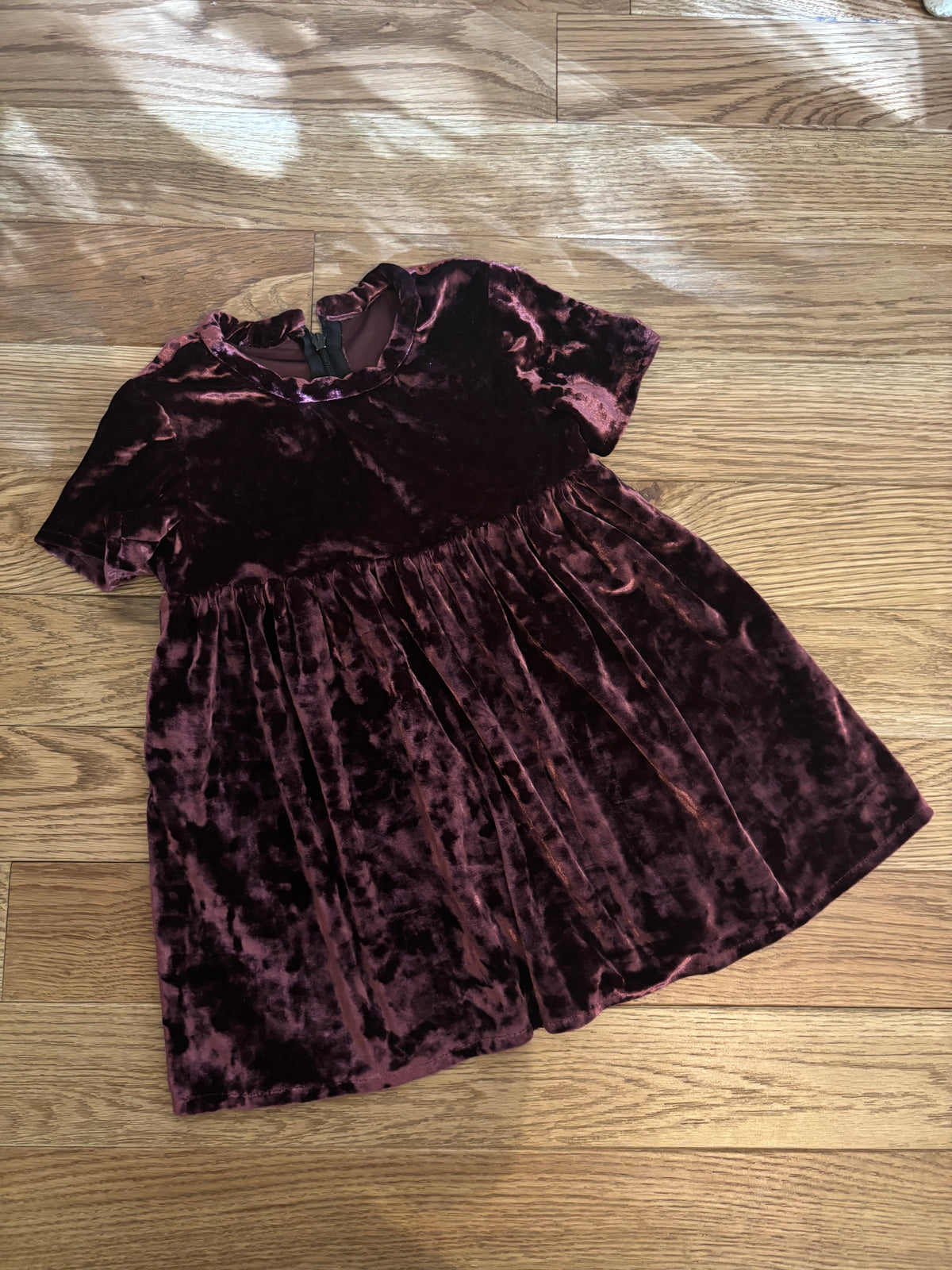 Plum velvet dress