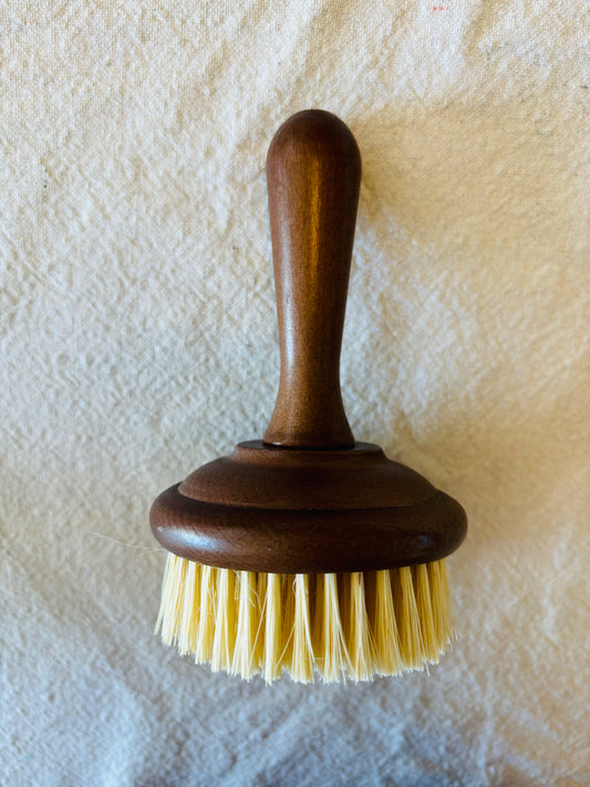 Dish brush