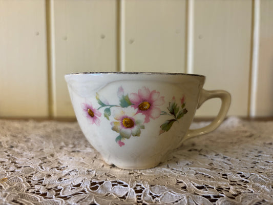 Apple Sage Dish Soap