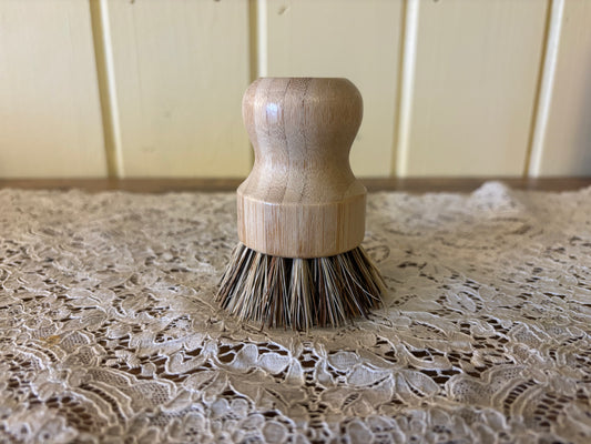 Scrubbing Brush
